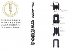 EI35-20 10*20(E) 王字P21骨架